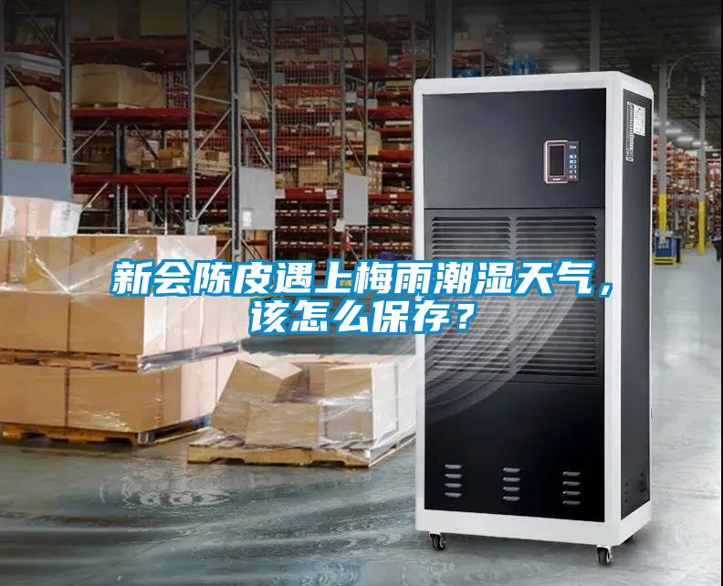 新會陳皮遇上梅雨潮濕天氣，該怎么保存？