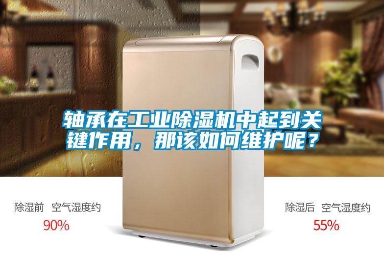 軸承在工業(yè)除濕機(jī)中起到關(guān)鍵作用，那該如何維護(hù)呢？