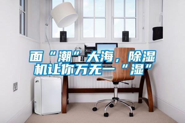 面“潮”大海，除濕機讓你萬無一“濕”