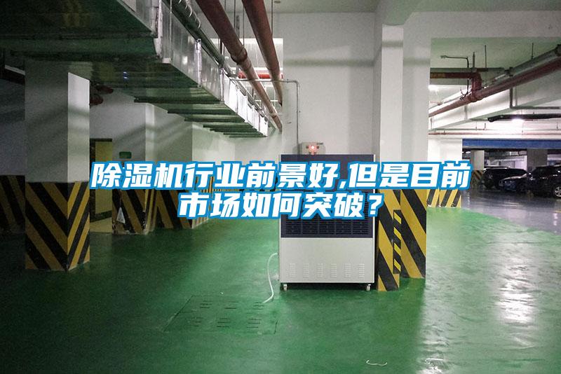 除濕機(jī)行業(yè)前景好,但是目前市場如何突破？