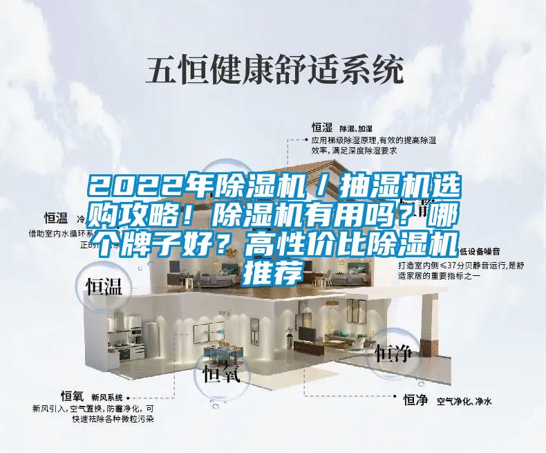 2022年除濕機(jī)／抽濕機(jī)選購攻略！除濕機(jī)有用嗎？哪個(gè)牌子好？高性價(jià)比除濕機(jī)推薦