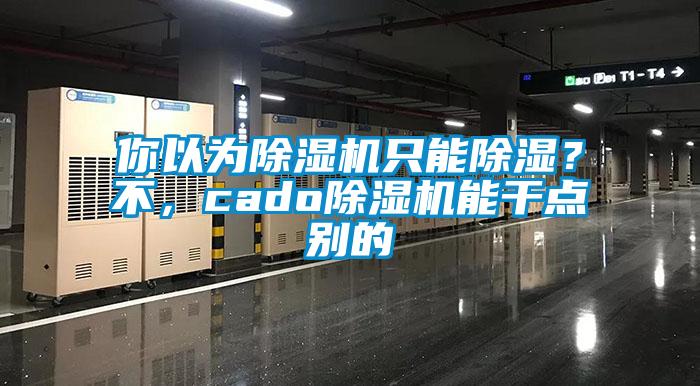 你以為除濕機(jī)只能除濕？不，cado除濕機(jī)能干點(diǎn)別的