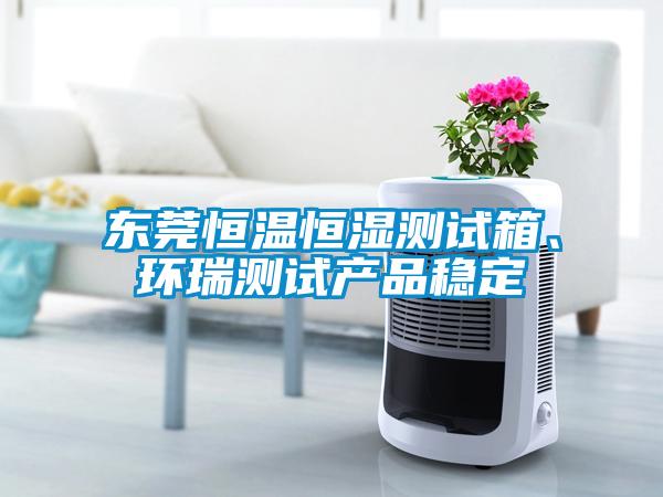 東莞恒溫恒濕測試箱、環瑞測試產品穩定