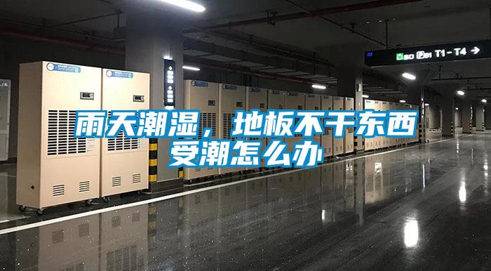 雨天潮濕，地板不干東西受潮怎么辦