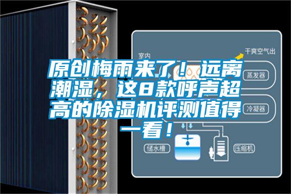 原創(chuàng)梅雨來(lái)了！遠(yuǎn)離潮濕，這8款呼聲超高的除濕機(jī)評(píng)測(cè)值得一看！