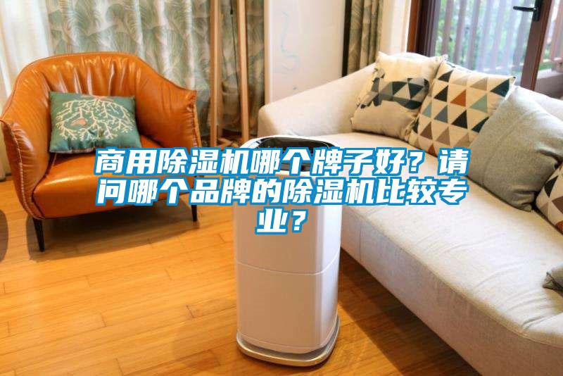 商用除濕機(jī)哪個(gè)牌子好？請(qǐng)問(wèn)哪個(gè)品牌的除濕機(jī)比較專(zhuān)業(yè)？