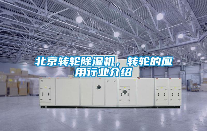 北京轉輪除濕機，轉輪的應用行業介紹