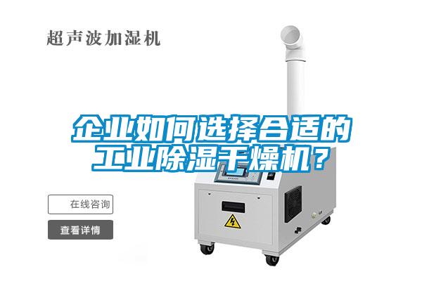 企業如何選擇合適的工業除濕干燥機？