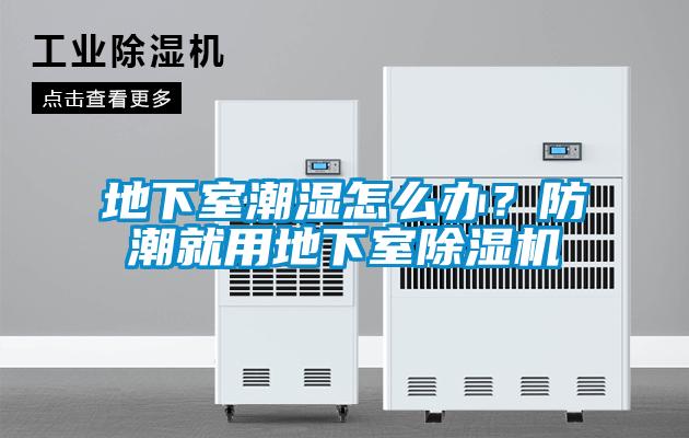 地下室潮濕怎么辦？防潮就用地下室除濕機(jī)