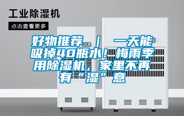 好物推薦 ｜ 一天能吸掉40瓶水！梅雨季用除濕機，家里不再有“濕”意