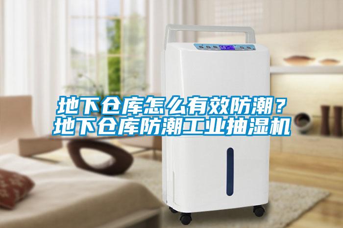 地下倉庫怎么有效防潮？地下倉庫防潮工業(yè)抽濕機