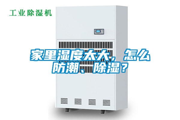 家里濕度太大，怎么防潮、除濕？