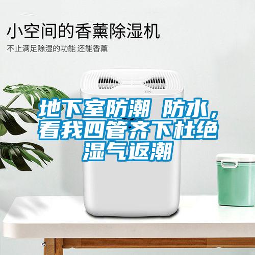 地下室防潮≠防水，看我四管齊下杜絕濕氣返潮