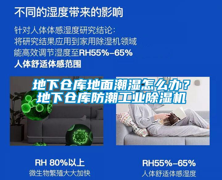 地下倉庫地面潮濕怎么辦？地下倉庫防潮工業除濕機