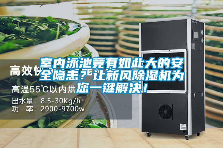 室內(nèi)泳池竟有如此大的安全隱患？讓新風(fēng)除濕機為您一鍵解決！