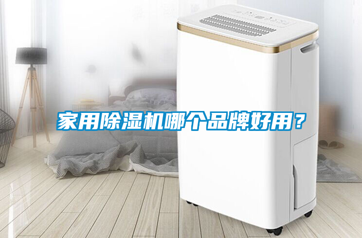 家用除濕機哪個品牌好用？