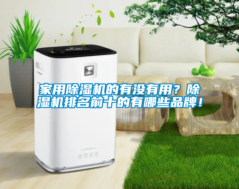 家用除濕機(jī)的有沒有用？除濕機(jī)排名前十的有哪些品牌！