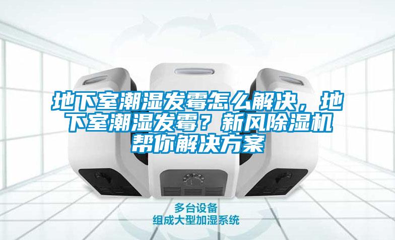 地下室潮濕發霉怎么解決，地下室潮濕發霉？新風除濕機幫你解決方案