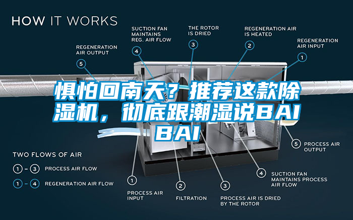 懼怕回南天？推薦這款除濕機，徹底跟潮濕說BAIBAI