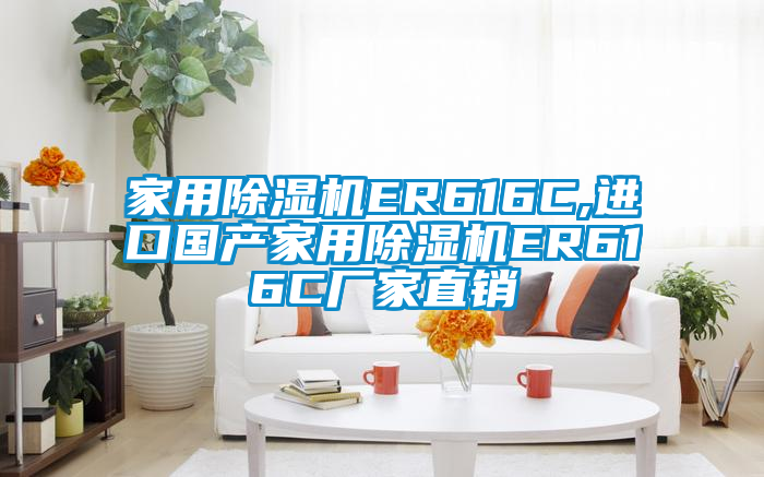 家用除濕機(jī)ER616C,進(jìn)口國(guó)產(chǎn)家用除濕機(jī)ER616C廠家直銷(xiāo)