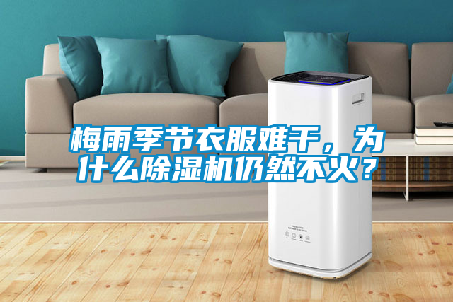 梅雨季節衣服難干，為什么除濕機仍然不火？