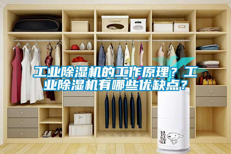 工業除濕機的工作原理？工業除濕機有哪些優缺點？