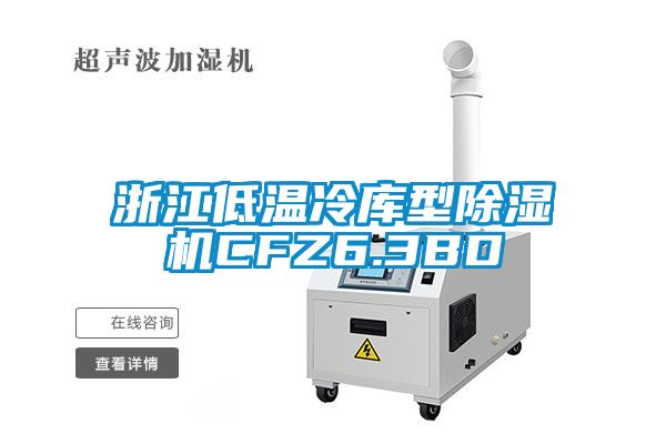 浙江低溫冷庫型除濕機(jī)CFZ6.3BD