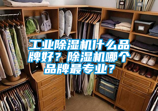 工業除濕機什么品牌好？除濕機哪個品牌最專業？