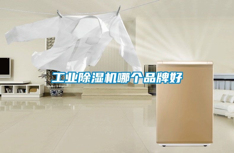 工業(yè)除濕機哪個品牌好