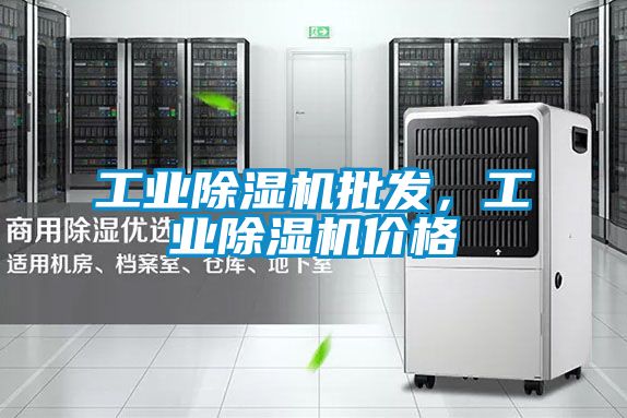 工業(yè)除濕機(jī)批發(fā)，工業(yè)除濕機(jī)價(jià)格