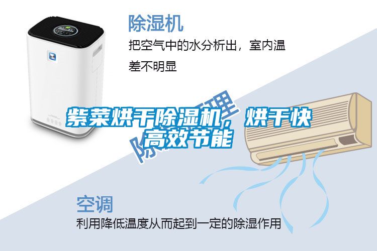 紫菜烘干除濕機，烘干快高效節能