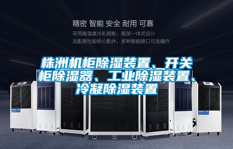 株洲機柜除濕裝置、開關柜除濕器、工業除濕裝置、冷凝除濕裝置