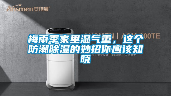 梅雨季家里濕氣重，這個防潮除濕的妙招你應該知曉
