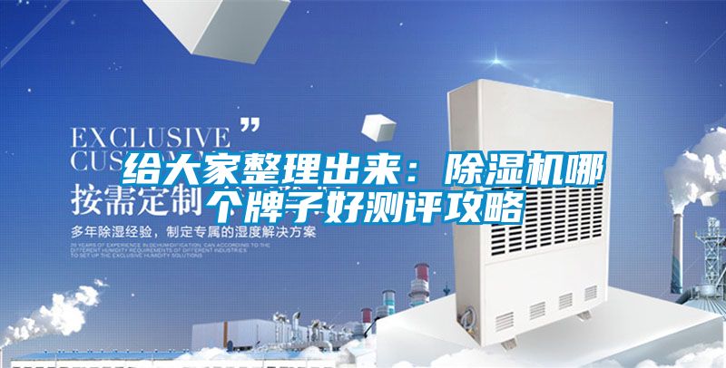 給大家整理出來：除濕機(jī)哪個(gè)牌子好測(cè)評(píng)攻略
