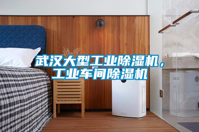 武漢大型工業除濕機，工業車間除濕機