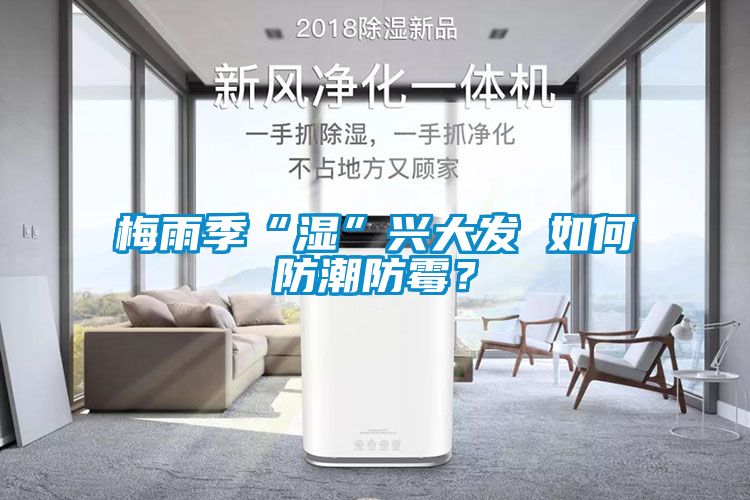 梅雨季“濕”興大發 如何防潮防霉？