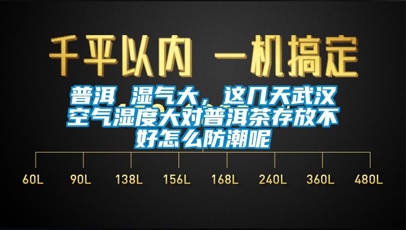 普洱 濕氣大，這幾天武漢空氣濕度大對普洱茶存放不好怎么防潮呢