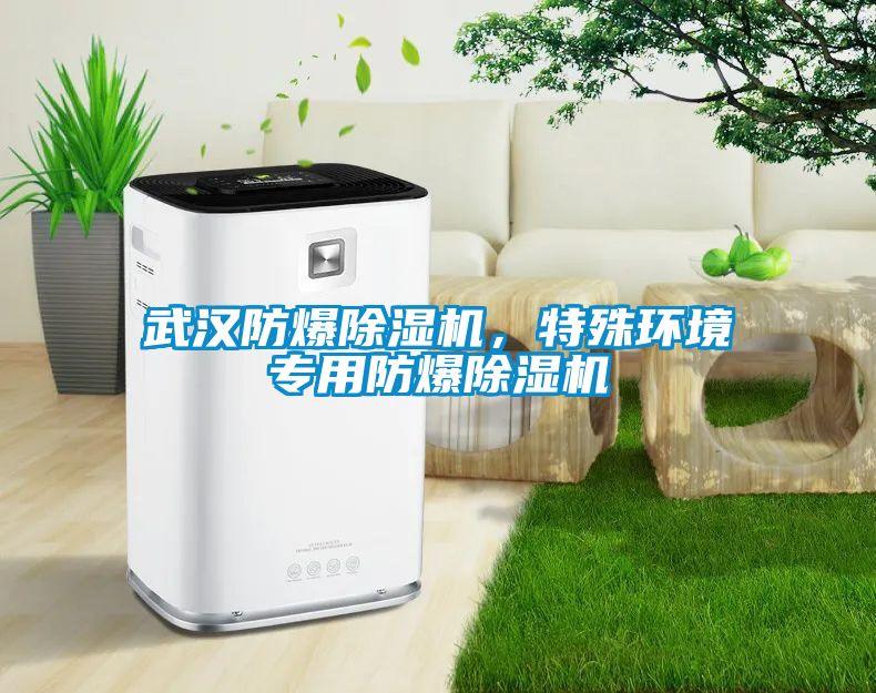 武漢防爆除濕機(jī)，特殊環(huán)境專用防爆除濕機(jī)