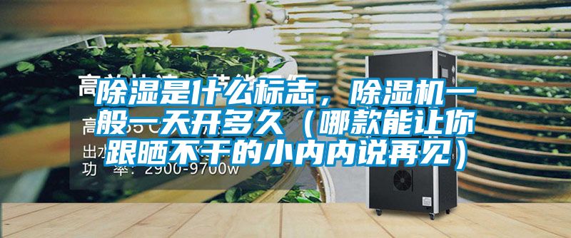 除濕是什么標志，除濕機一般一天開多久（哪款能讓你跟曬不干的小內內說再見）