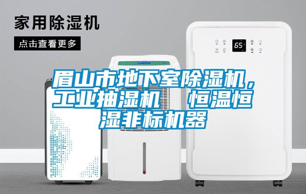 眉山市地下室除濕機，工業抽濕機  恒溫恒濕非標機器