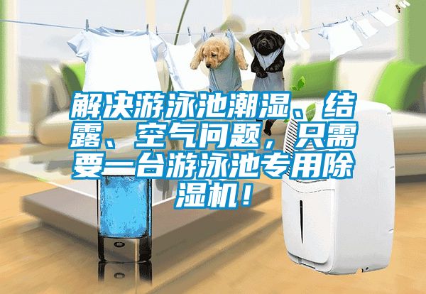 解決游泳池潮濕、結露、空氣問題，只需要一臺游泳池專用除濕機！