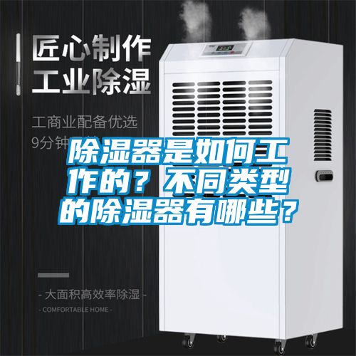 除濕器是如何工作的？不同類型的除濕器有哪些？