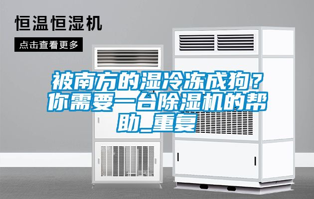 被南方的濕冷凍成狗？你需要一臺除濕機的幫助_重復