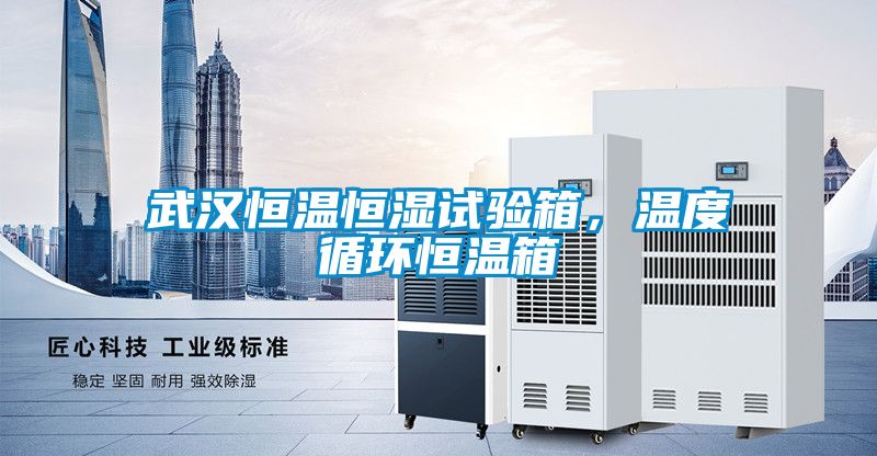 武漢恒溫恒濕試驗箱，溫度循環恒溫箱