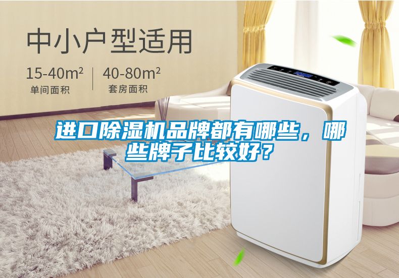 進口除濕機品牌都有哪些，哪些牌子比較好？