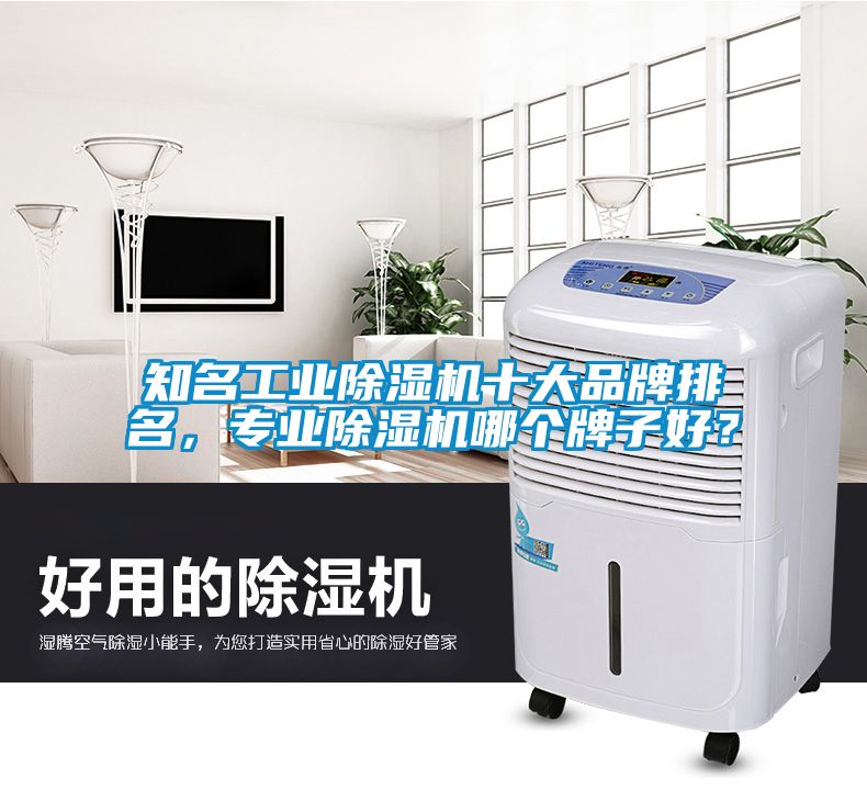知名工業除濕機十大品牌排名，專業除濕機哪個牌子好？