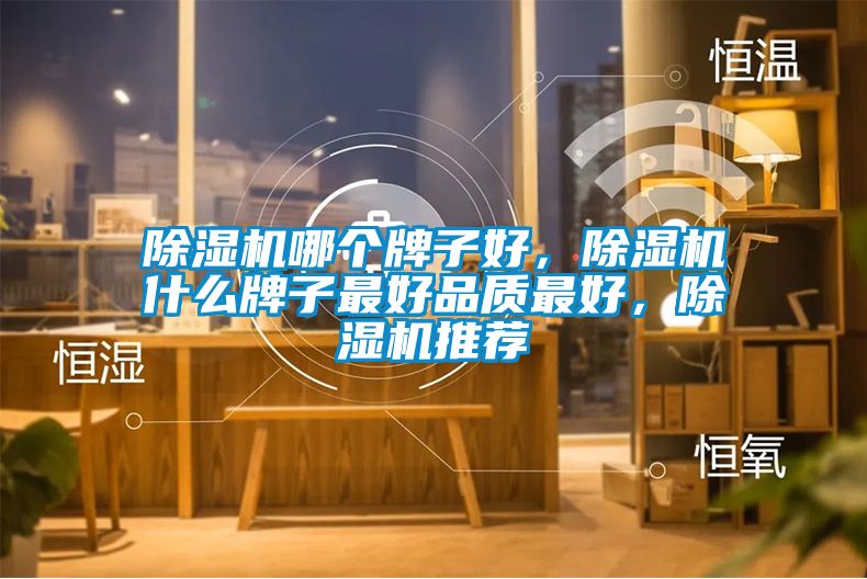 除濕機(jī)哪個(gè)牌子好，除濕機(jī)什么牌子最好品質(zhì)最好，除濕機(jī)推薦