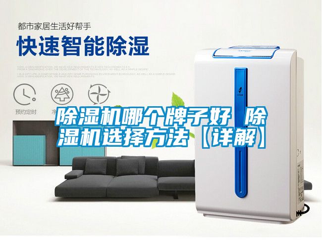除濕機(jī)哪個牌子好 除濕機(jī)選擇方法【詳解】