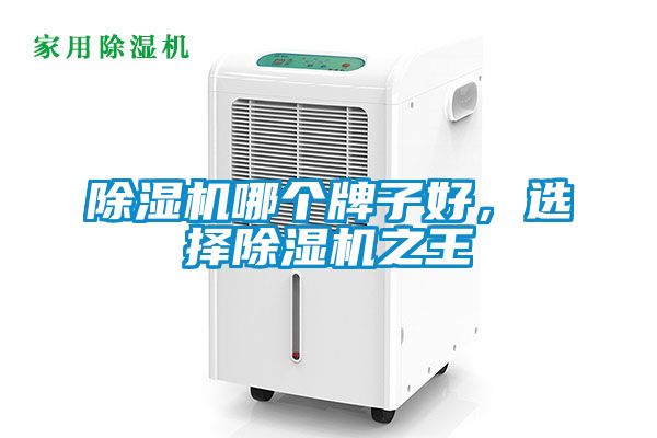 除濕機(jī)哪個(gè)牌子好，選擇除濕機(jī)之王
