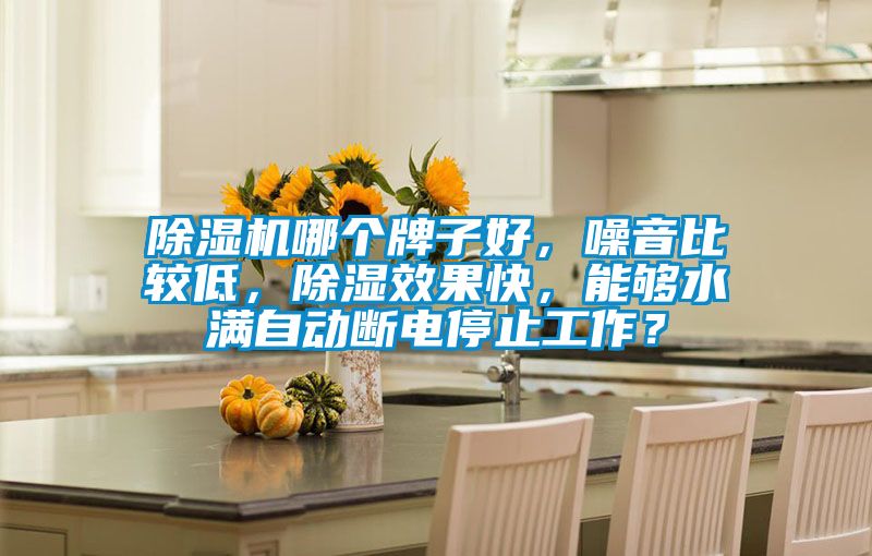 除濕機(jī)哪個(gè)牌子好，噪音比較低，除濕效果快，能夠水滿自動(dòng)斷電停止工作？